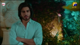 Mehshar - Episode 24 - 26th February 2025